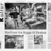 Press &raquo; Havfruer fra Rygge til Drøbak